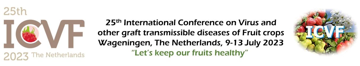 ICVF2023 banner